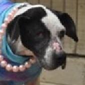 0 Maybelle